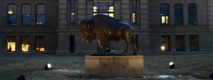A statue of a bison in front of the Wyoming Capitol building in low evening light