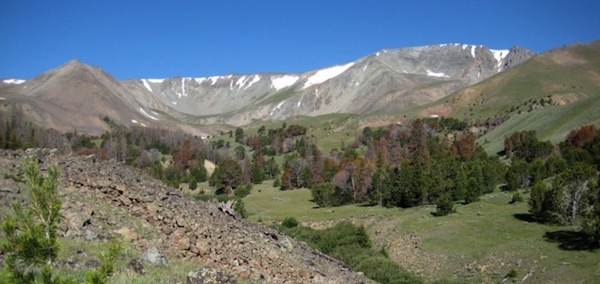 Francs peak is considered one of the highest ranked potential wilderness areas by the Shoshone National Forest.