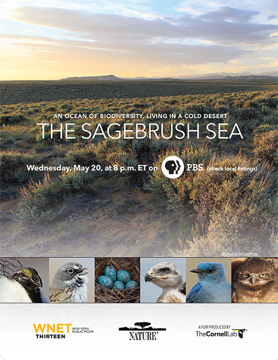 Join us to watch the new episode of Nature: The Sagebrush Sea on PBS