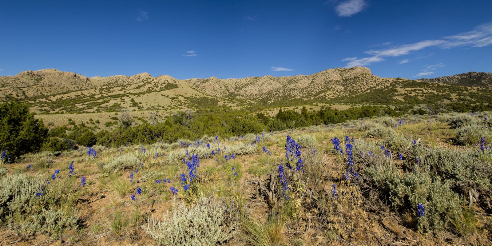 Last chance to comment on important Fremont and Natrona County public lands