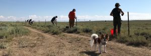Creating easy passage for wildlife: volunteers modify fences during Stewardship Day