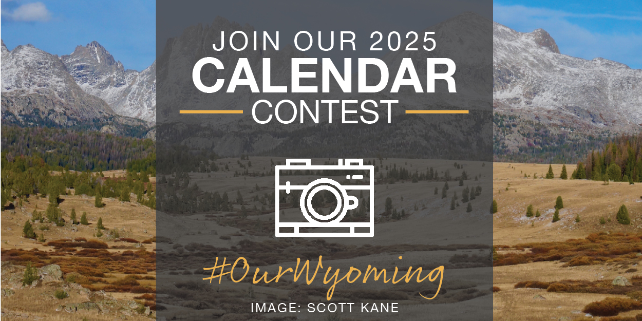 THE 2025 CALENDAR CONTEST IS OPEN!