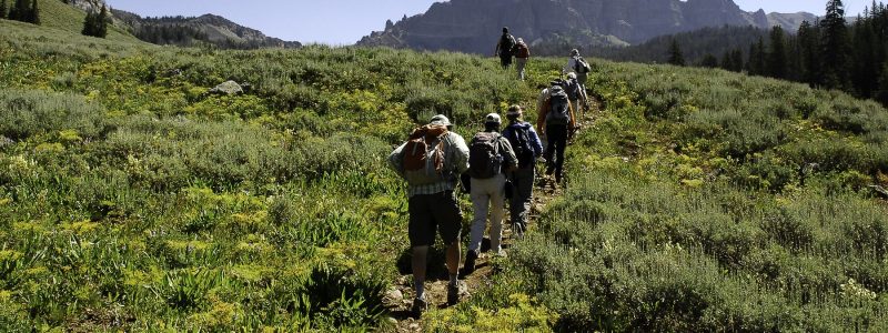 A line of hikers ascends a green grassy slope with mountains in the background