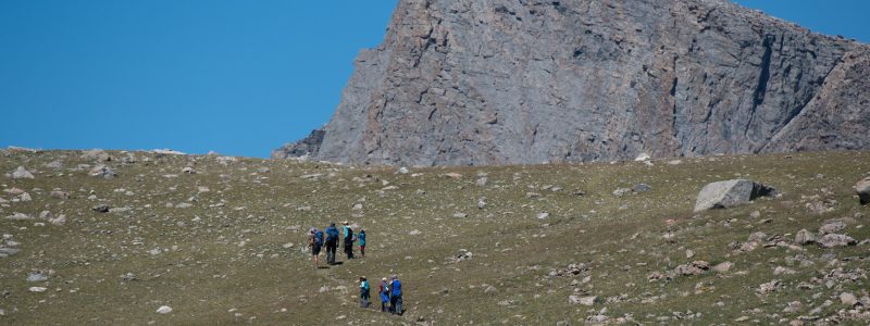 Speak up for the future of the Bridger-Teton National Forest!