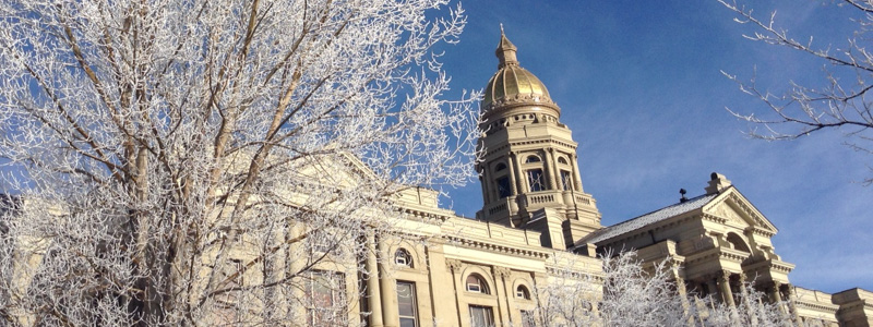 Legislative Lowdown: MORE GOOD NEWS