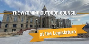 The Wyoming Legislature is in session. Here’s what you need to know. 