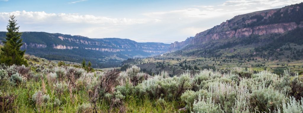 Scenic view of Tensleep Canyon in Wyoming with lush sagebrush in foreground and steep canyon walls in middle and background